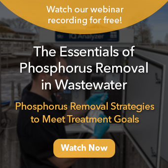 phosphorus removal wastewater